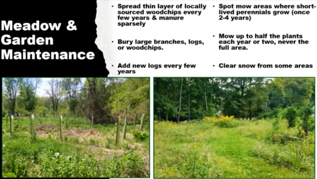 View of a presentation slide with text and a view of a landscape that shows an area covered with branches, logs and wood chips. Another images shows a wilder grassy area that has been recently mowed in some spots. 
